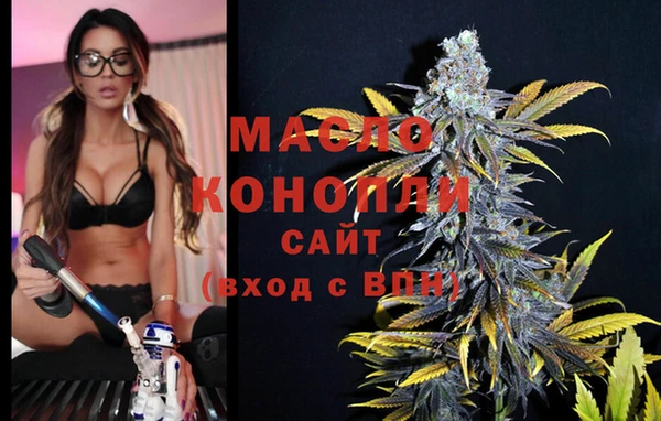 индика Семёнов