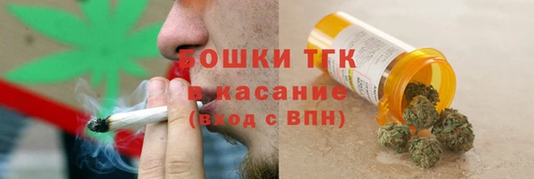индика Семёнов